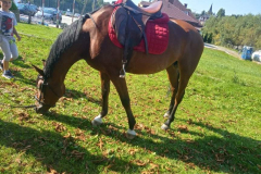 received_209617274534745